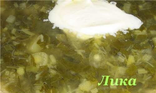 Green cabbage soup "Spring"