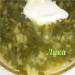 Green cabbage soup Spring