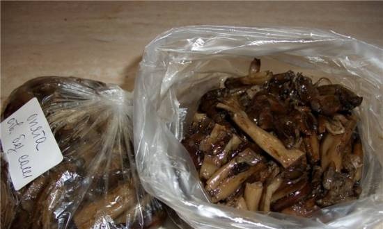 Honey mushrooms (and not only) for the freezer