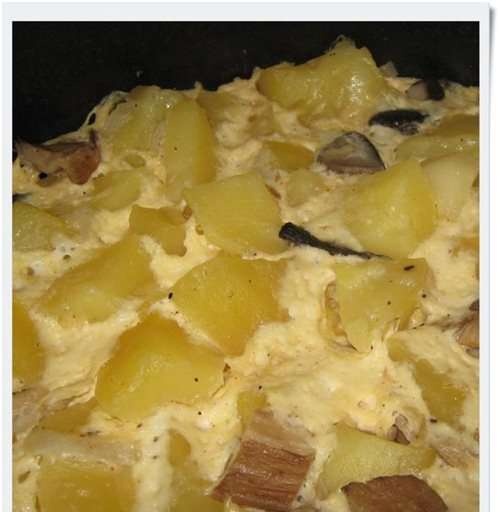 קדירת תפוחי אדמה עם פטריות (DEX-50)