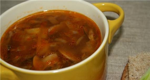 حساء الفطر في باناسونيك SR-TMH18 متعدد الطهي