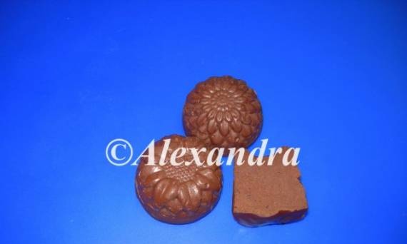 Chocolate-fruit fondants (options - white and dark chocolate, kiwi and persimmon)