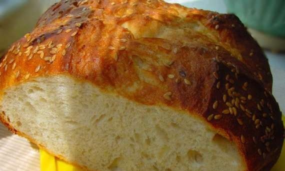 Sponge bread with whole grain flour