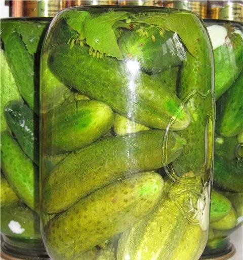 Pickled pickled cucumbers
