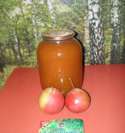 Apricot-pear confiture "sun"