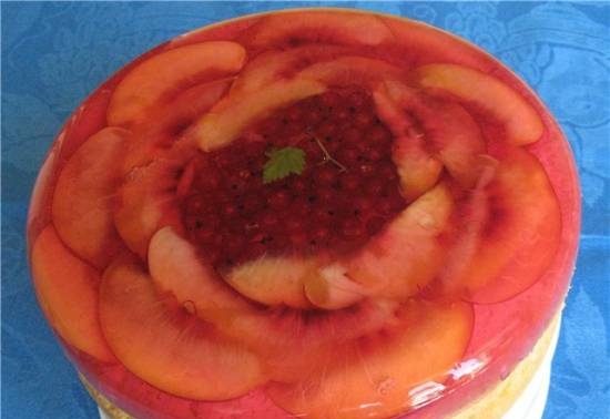 Piškotový dort s želé a ovocem (Panasonic SR-TMH 18)