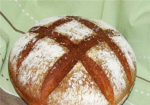 Pan de trigo simple como base de masa madre Vendemiya