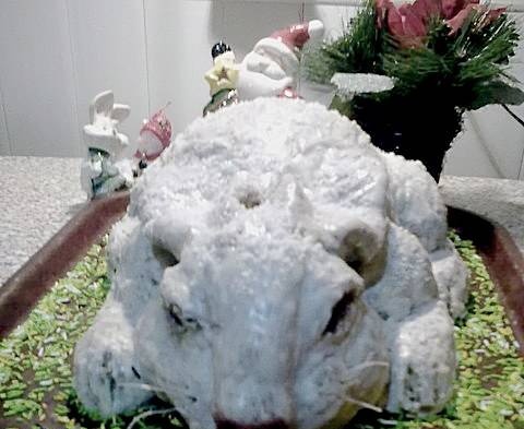 Conejo blanco 3D