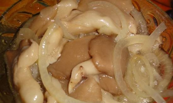 Marinated oyster mushrooms with onions