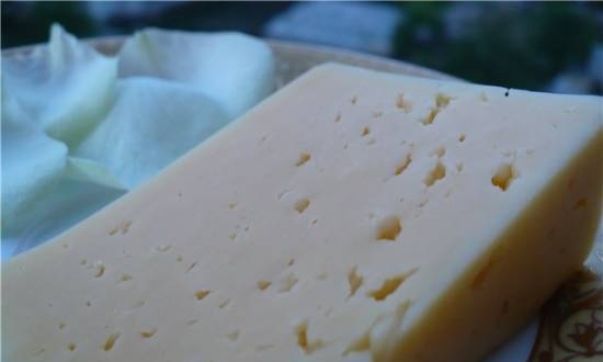 חטיף גבינה מהעורב הפלסטיני המצויר