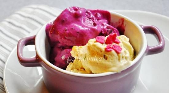 Sugar-free ice cream: duet "Black currant in yoghurt" - "Creme brulee gudbrandsdalen"