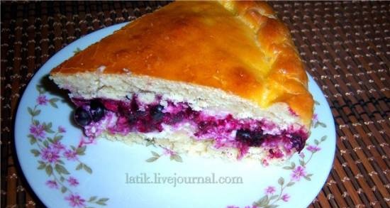 Pie with cottage cheese and black currant