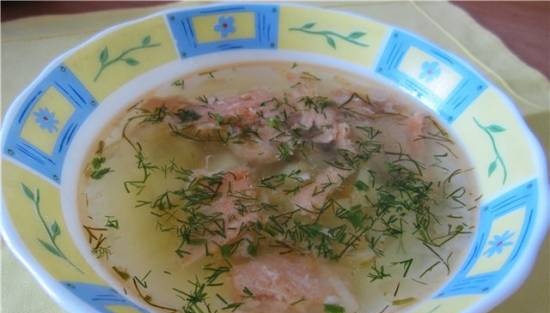 Potato soup with salmon in a multicooker Panasonic SR-TMH10