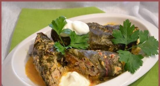 Stuffed cabbage rolls with pork and adjika in the Stadler Form multicooker