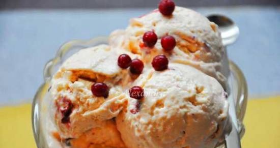 Sugar-free ice cream "Tropical fruits and lingonberries"