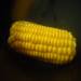 Gekookte maïs (merk 37502)