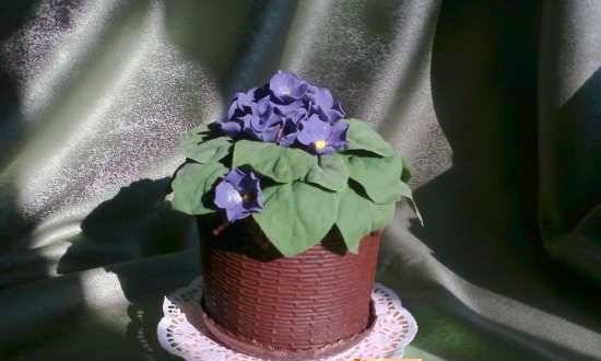 Cake "Pot of violets" (master class)