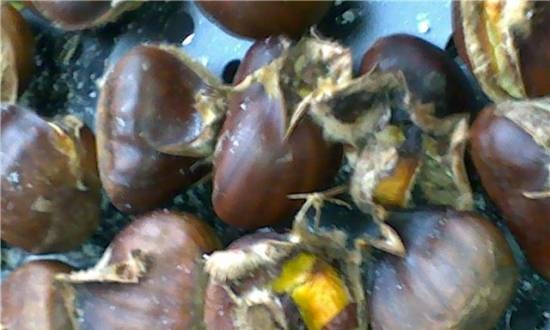 Airfryer baked chestnuts