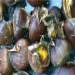 Airfryer baked chestnuts