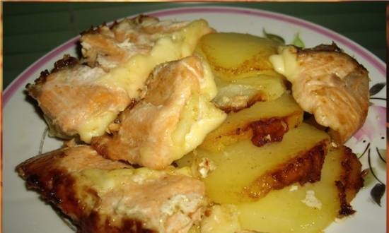 Salmon with potatoes Everything will be fine! (Brand 6050)