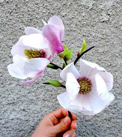 Magnolia z mastyksu (klasa mistrzowska)