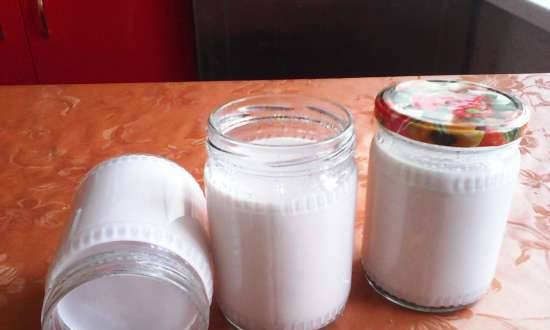 Romige yoghurt in een multikoker Redmond