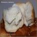بامبوشكي بالثوم (يخبز في قدر الضغط متعدد الطهي 6051)