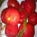 Pomodori in salamoia, leggermente salati Colpo estivo (non per arrotolare)