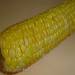 Gekookte mais in een Brand 6050 snelkookpan