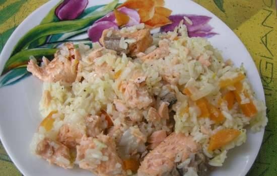 Salmon (trout) with rice in Steba DD1 ECO