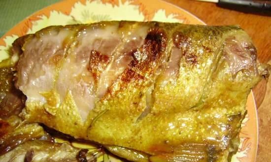 سمكة حمراء العينين في بولاريس متعدد الطهي