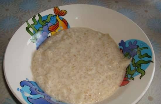Barley milk porridge in a multicooker Polaris 0508D floris