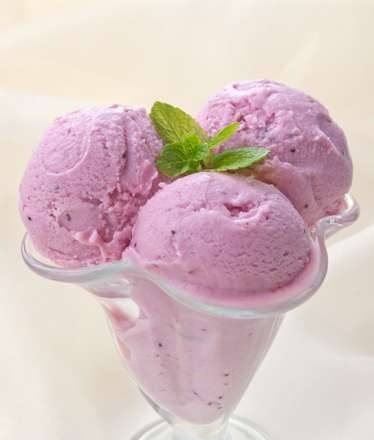גלידת חמוציות (יצרנית גלידה מותג 3812)