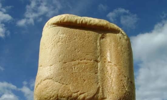 לחם חיטה-תירס עם זרעי חמאה וגוזרי גבינה