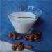 Almond milk in a soup blender