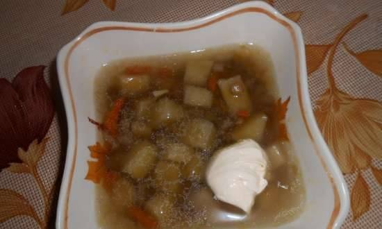 Lentil soup (Polaris 0520)