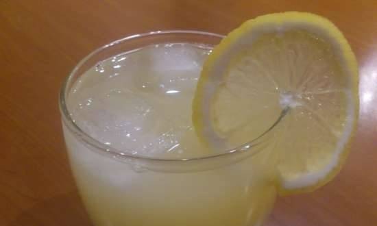 Bebida de manzana y limón en la batidora múltiple Profi Cook