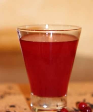Cranberry juice in Profi Cook