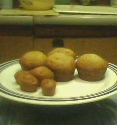 Honey muffins (lean)