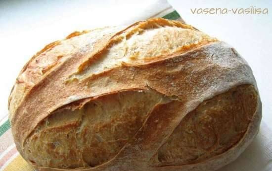 Gemeenschappelijk zuurdesembrood (Pane Comune con Lievito Madre)