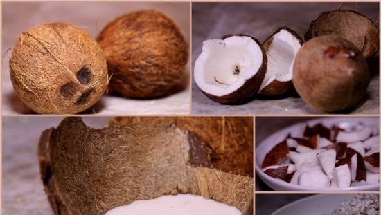 Coconut milk and oil (multi-blender Profi Cook PC-MSM1024)