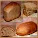 Wheat bread 50% wholegrain - hearth and molded versions (Jeffrey Hamelman)