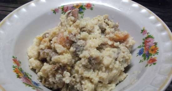 Millet stewed with dried fruits (multicooker-pressure cooker Steba DD1)