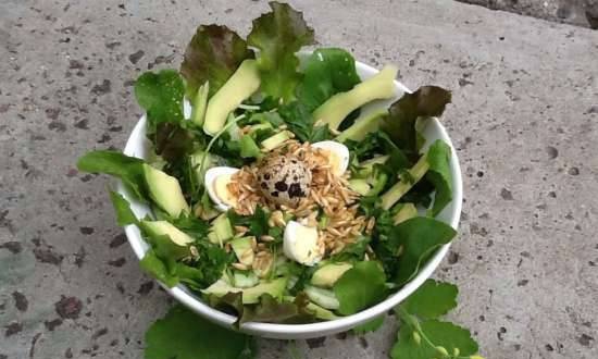 Arugula salad with wild rice (sprouted oats) and avocado
