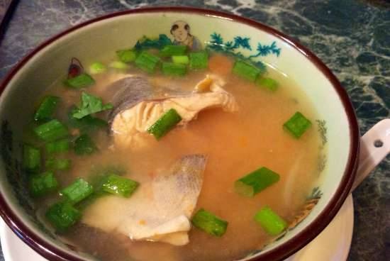 Light rainbow trout soup (Moulinex stationary blender-soup cooker)