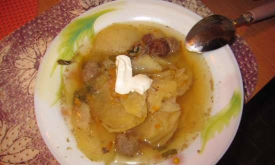 Solo zuppa di patate nella pentola a cottura lenta Steba DD1 ECO