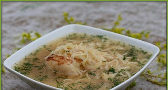 Quick chicken soup with homemade noodles (Steba DD1)