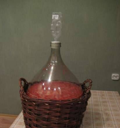 Homemade wine Strawberry