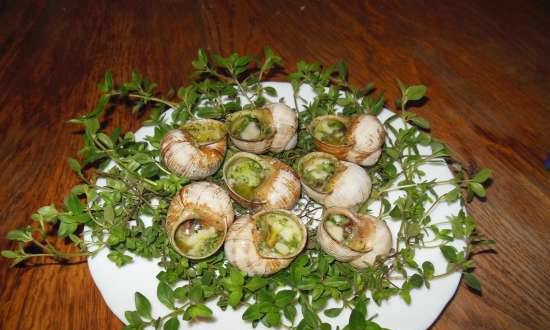Snails: collect, cook, eat