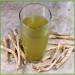 Bebida medicinal de achicoria (cosecha de raíces)